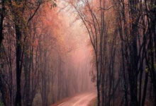 杏彩体育官网：[天下足球]凯恩半场吊射领衔一周十佳进球.