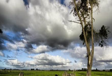 张之臻因伤退赛 无缘ATP250马赛站男单四强.