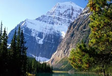 杏彩体育官网:利雅得胜利门将:C罗堪称典范;人们对沙特联赛抱有偏见.