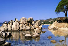 [澳网]女单第2轮：西格蒙德VS郑钦文 集锦.